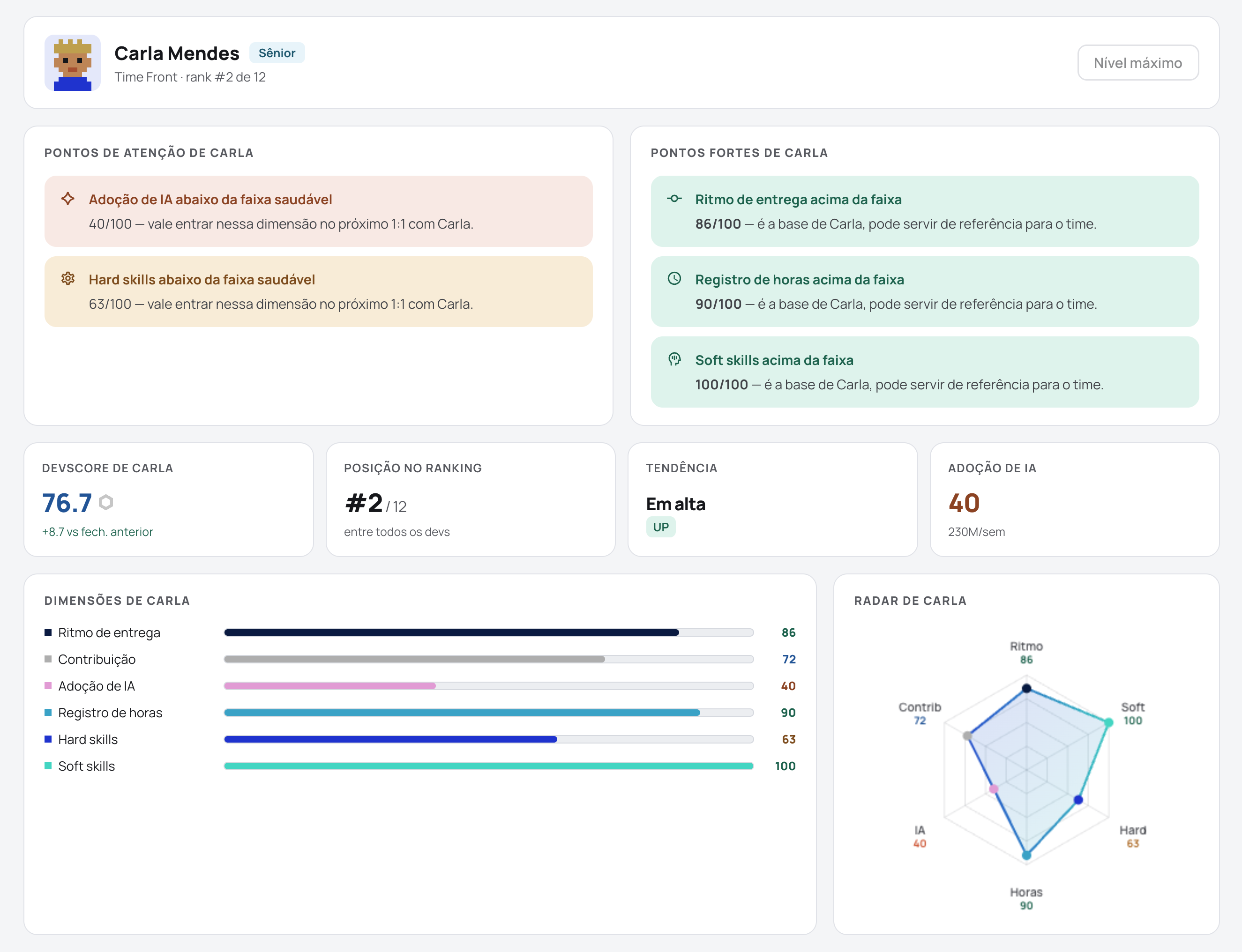 Individual developer profile on the Devint platform